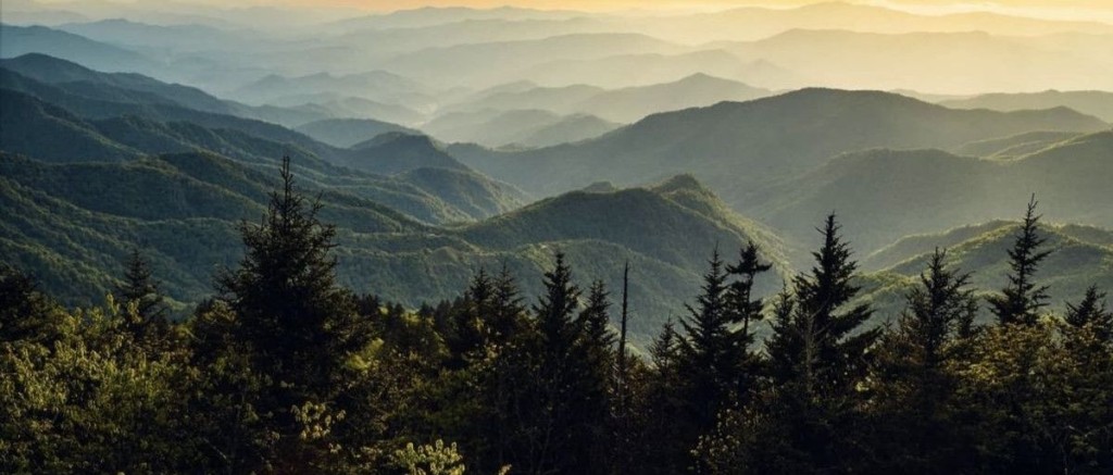 North Carolina Matrimony