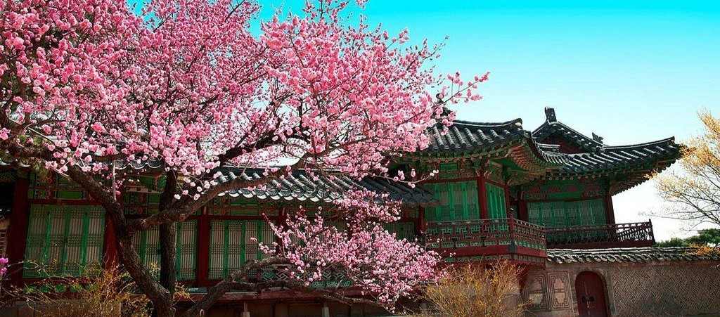 South Korea Matrimony